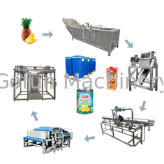 Kundengebundener automatischer Edelstahl 220 der Ananas-Produktlinie-304 - 380V