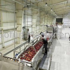 Stau 380V 50Hz Apple/Wassersparen Juice Production Lines 2t/H