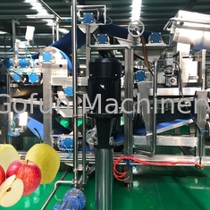 Hohe Leistungsfähigkeit Apple Juice Processing Line Machine SUS316 30T/H 7.5kw