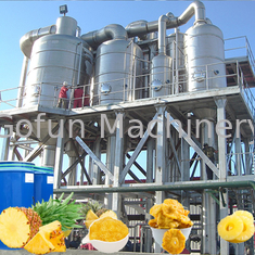 Taschen-Ananas-Produktlinie PLC 20T/H 440V aseptische