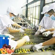 Nahrungsmittelgrad-Ausrüstung benutzt im Fruchtsaft, der Saft-Konzentration verarbeitet
