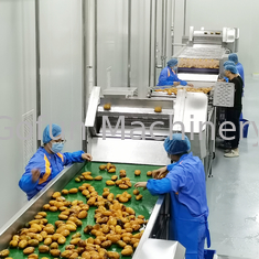 Automatische Industrieanlage zur Verarbeitung von Mangosaft aus Edelstahl 1 - 10 t/h