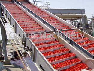 PLC steuern das Lebensmittelverarbeitungs-Maschinen-Tomaten-Produktlinie-Wasser-Radfahren