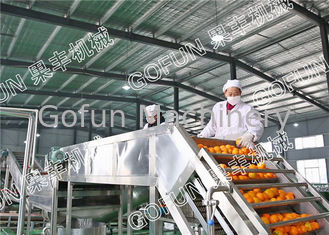 Verarbeitungsanlage-einfache Operation der HPP-Zitrusfrucht-Zitronen-Produktlinie/440V