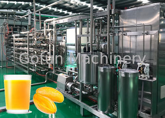 Industrielle Ebene-Mango-Frucht-Produktlinie-vollautomatische 1-jährige Garantie