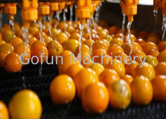Professionelle Tangerine-Zitrus-Verarbeitungsanlage 5T/H ISO-Zertifikat