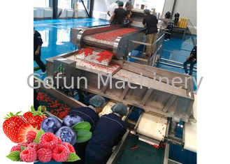 Trockenfrüchte SUS 304 Berry Processing Equipment 10-100T/D