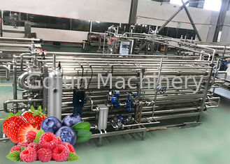 Schlüsselfertige einfache Produktlinie Berry Paste Pulp Industrial Pasteurizers säubern