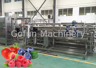 CIP-Reinigungs-Frucht-Produktlinie-Erdbeersaft-Werkzeugmaschine ISO9001