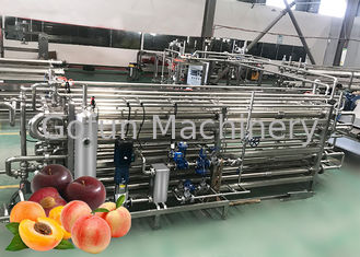 Ss304 UHT-Pasteurisierungsmaschine, schlüsselfertige Verarbeitungslinie für Birnenpaste
