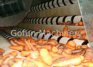 Industrielle Karotten-Verarbeitungsanlage/stabile Karotten-Verarbeitungs-Ausrüstung
