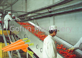 Berufskarotten-Verarbeitungsanlage/Obst- und GemüseVerarbeitungs-Ausrüstung