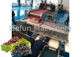 Starke Traubensaft-Produktlinie/Fruchtsaft-Verarbeitungs-Ausrüstung