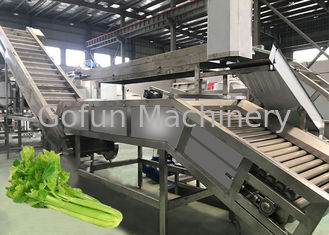 Des großen Umfangs Gemüsespannung der juicer-Maschinen-hohe Kapazitäts-Saft-Konzentrations-220V