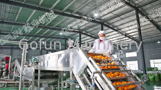 Professionelle Tangerine-Zitrus-Verarbeitungsanlage 5T/H ISO-Zertifikat