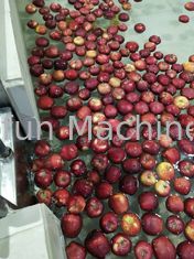 CER industrielles automatisches Apple Juice Processing Machine 7.5kw SUS304