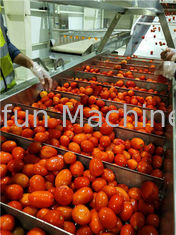 800g/Tin Concentrated Tomato Processing Line kann verpacken