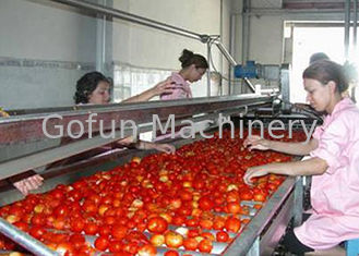 Tomaten-Produktlinie 380V des Nahrungsmittelgrad-Edelstahl-304 Multifunktions