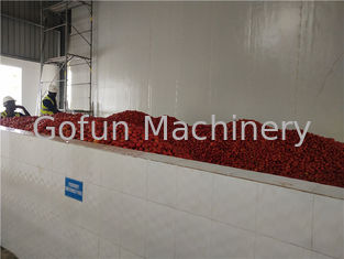 Sgs-Tomaten-Produktlinie 2000T/D, die Ketschup-Produktlinie konzentriert