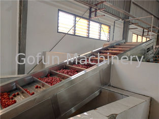 Industrielles Tomaten-Püree-Verarbeitungsanlage 250T/D 440V