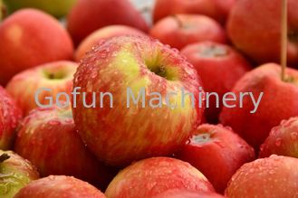 Ss304 Apple Verarbeitungslinie automatischer Fruchtsaft, der Maschine 380V herstellt