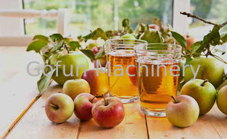 SS316 Konzentrat Apple Juice Processing Plant 25t/H für Getränk