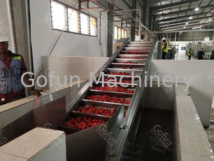 Energiesparende Tomatenkonzentrat-Fertigungsstraße für waschendes trocknendes 100T/D