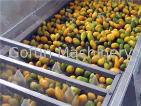 Elektrischer frischer Mangosaft-Verarbeitungsmaschine 5T/H Steinentfernung