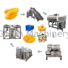 Automatische Industrieanlage zur Verarbeitung von Mangosaft aus Edelstahl 1 - 10 t/h