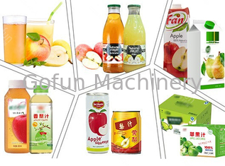 Apple SS304/316 Juice Processing Machine 10 - 50T/D