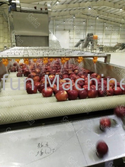Stau 10 t/h Apple, der Maschine automatische Frucht-Produktlinie 15kw macht