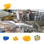 220V SUS304 Mango Juice Processing Line Destoning Removing