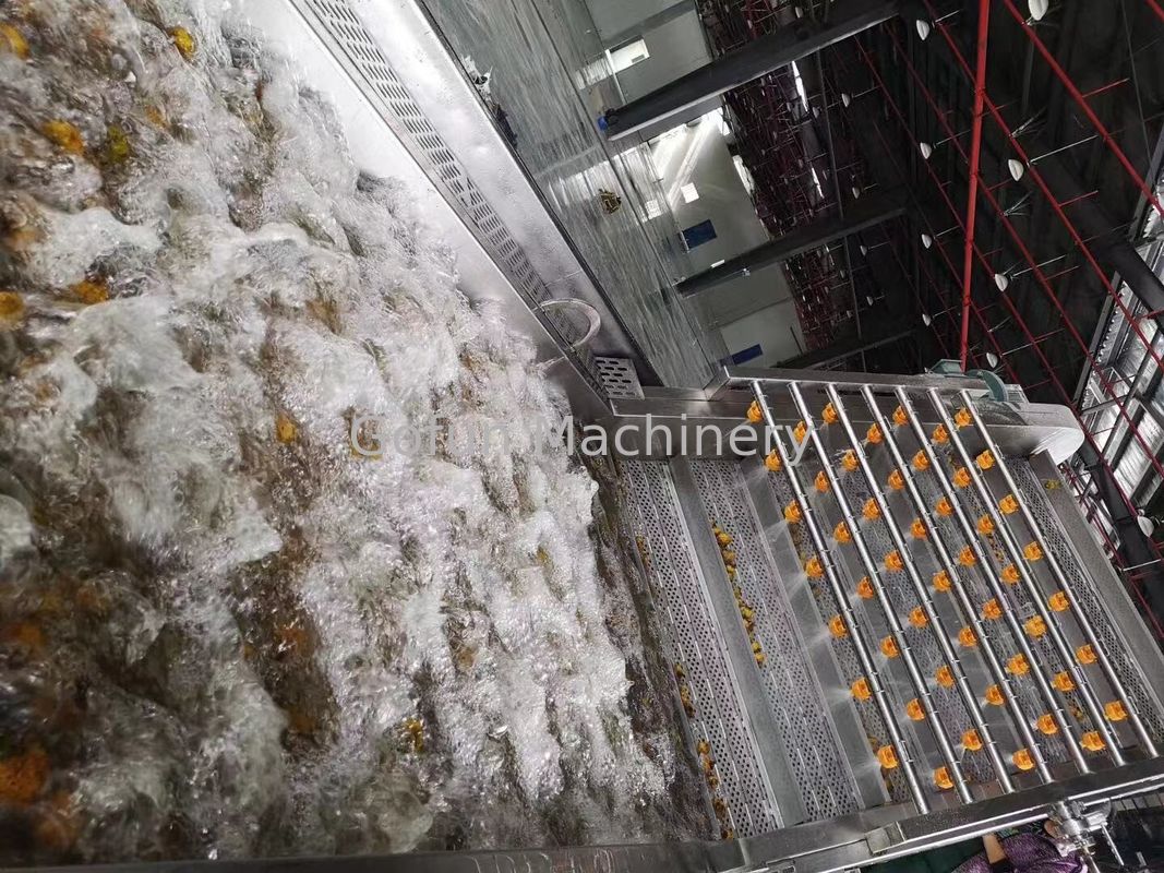 Traube Juice Processing Line PLC-Steuer220v 3T/Day