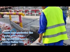 Welche Maschinen sind für die Herstellung von Tomatensoße erforderlich?