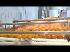 Industrielle NFC-Saftverarbeitungs-Produktionslinie, ein komplettes Set von Reinigung, Saftverarbeitung, Sterilisation und