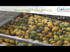 Produktionslinie für Mango-Püree vollständige Maschinen für Saftverarbeitungsanlagen