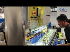 Handelsgewerbliche Mangoschälmaschine Papaya Kartoffel Karotten spezielle Hochgeschwindigkeitsschälmaschine