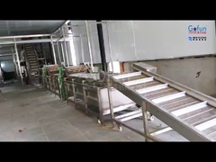 Ausrüstung für die Verarbeitung tropischer Früchte: Zellstoff + Saft + Trockenfrüchte 3 in 1