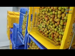 Eine für chinesische Unternehmen maßgeschneiderte Zellstoffverarbeitungslinie mit einer Kapazität von 5 Tonnen pro Stunde