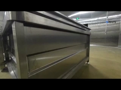 Automatische Obst- und Gemüsereinigungsmaschine Komplettes Set an Reinigungsstrecken für Obst und Gemüse