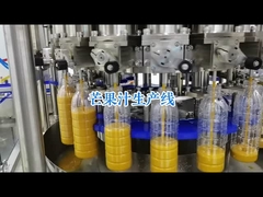 Qualität ist sichtbar: Standardisierung der Qualitätskontrolle von Verpackungen in Tomatenverarbeitungslinien