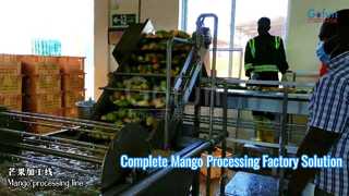 Komplette schlüsselfertige Fabriklösung für Mango-Verarbeitungslinien