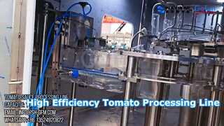 Schlüsselfertige Lösung für eine industrielle Verarbeitungslinie für Tomatenmark