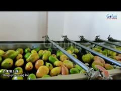 Premium-Mangosaft-Produktionslinie