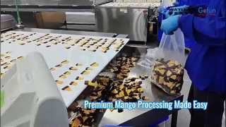 Premium Mango Processing Line Lösung für weiche, zähe getrocknete Mangos