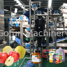 Schlüsselfertiger Service Nahrungsmittelgrad-Edelstahl-Apples Juice Processing Plant 50T/D