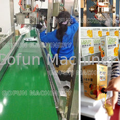 Wassersparen-lange Nutzungsdauer der Lebensmittelindustrie NFC-Zitrusfrucht-Produktlinie-220v