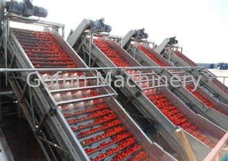 Industrielles Gemüseproduktlinie-Tomatenkonzentrat-Produktlinie-Wassersparen-einfache Operation