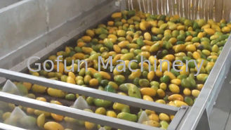 Hohes effektives Mango-Verarbeitungsanlage-Hoch des kleinen Maßstabs, das Rate extrahiert