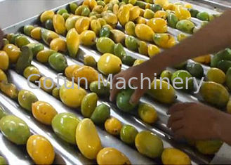 Nahrungsmittelgrad-Frucht bricht die Herstellung der Leistungsaufnahme der geringen Energie der Maschinen-1500 T/Tag ab